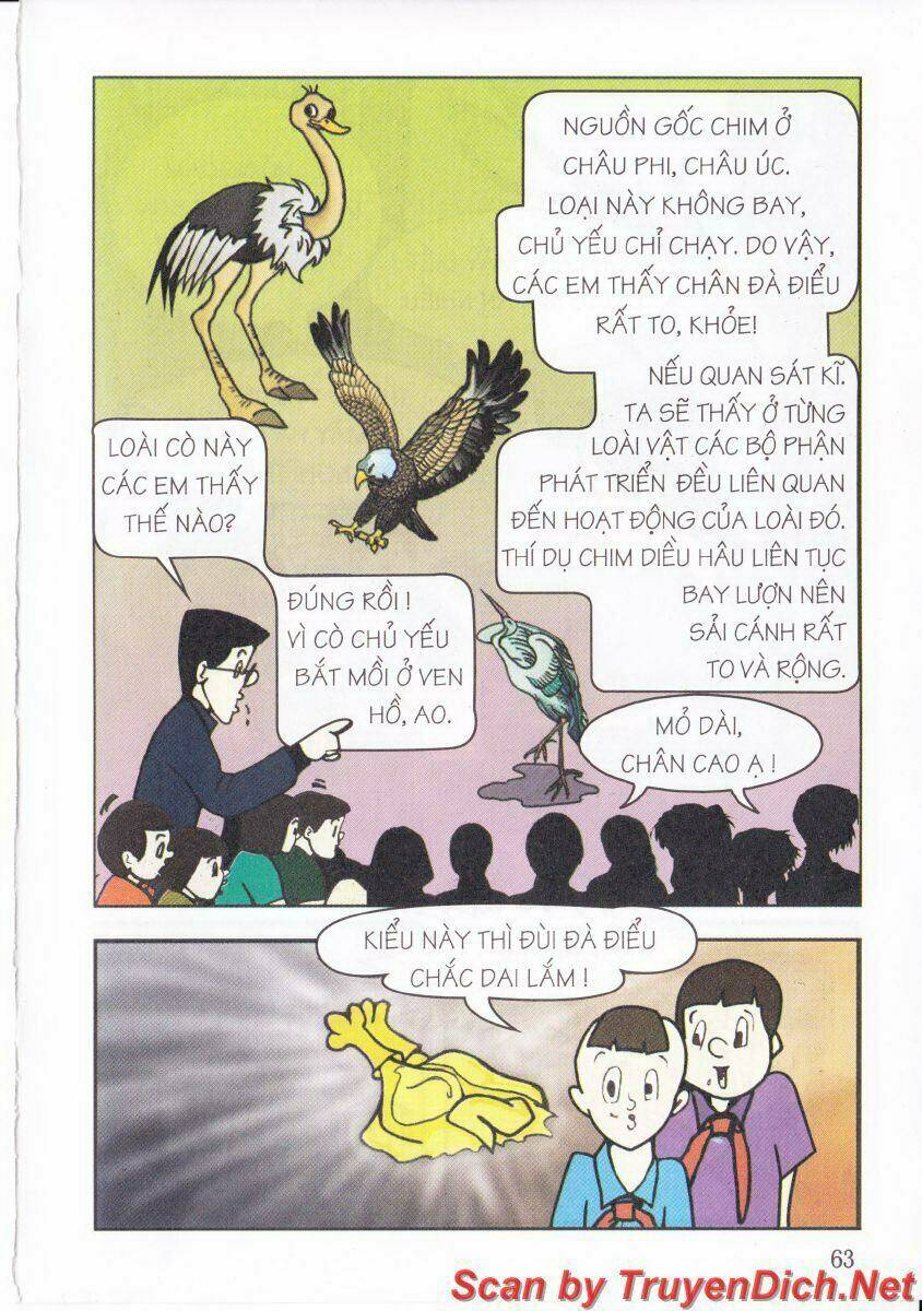 Trang 9