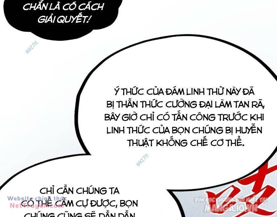 Chương 293 - Trang 14