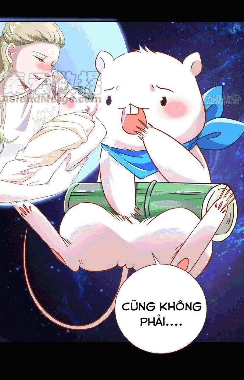 Chương 224 - Trang 4