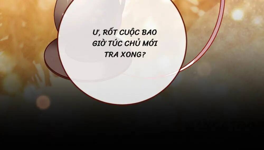 Chương 255 - Trang 30