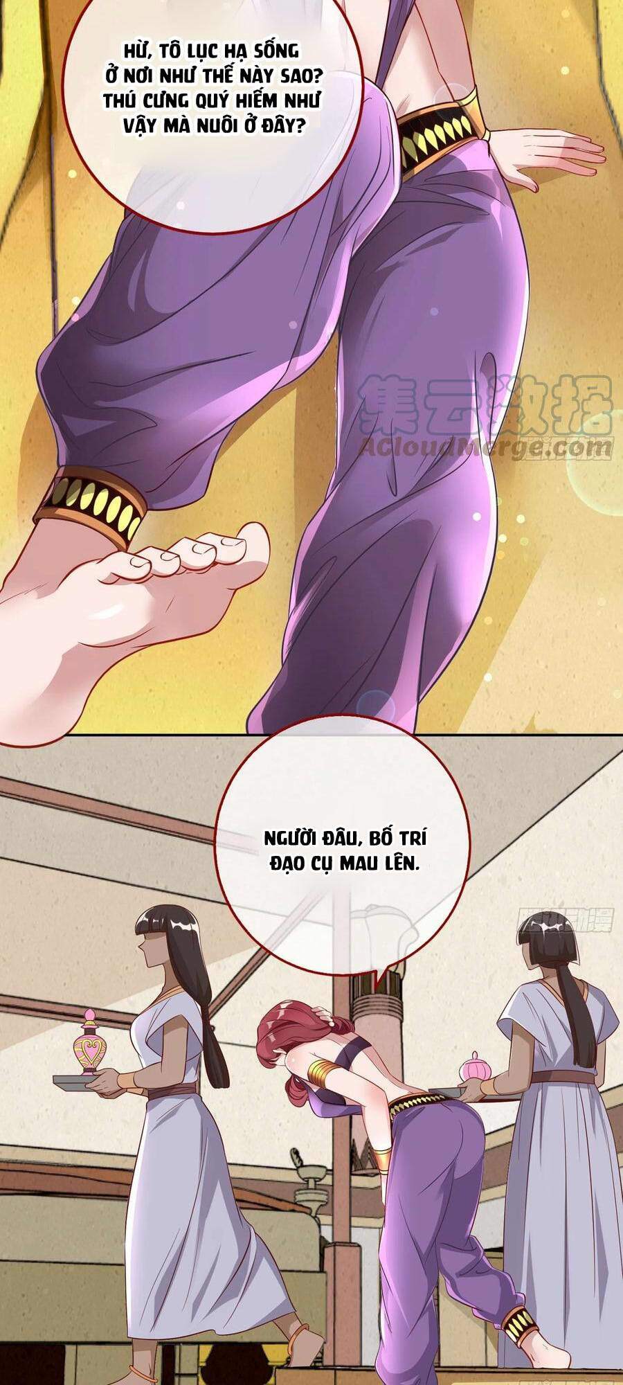 Chương 524 - Trang 21