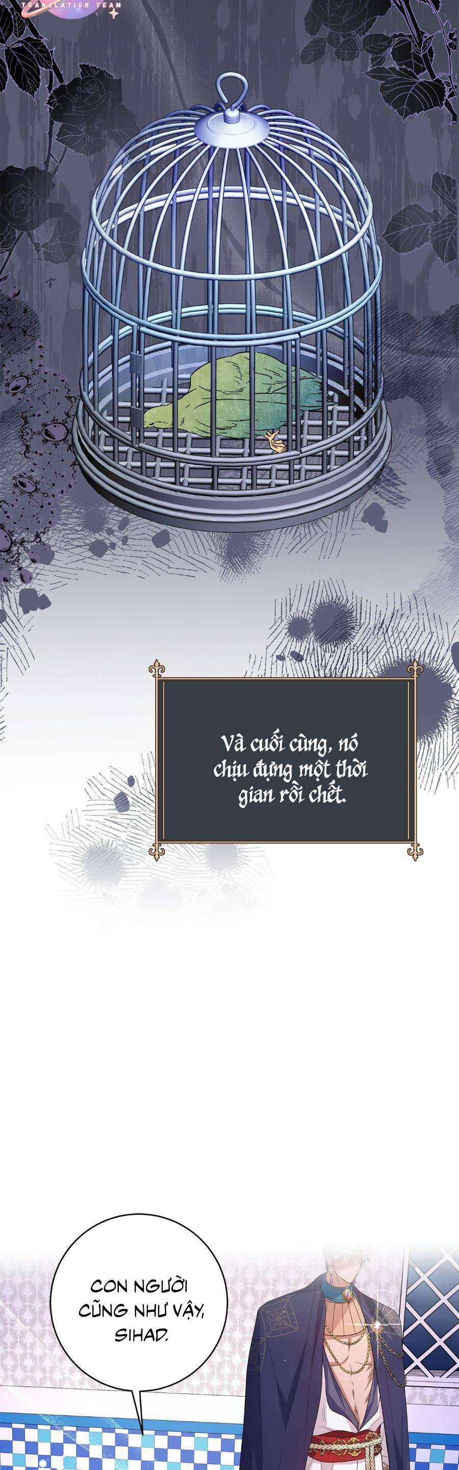 Chương 28 - Trang 13