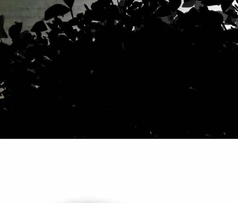 Chapter 80 - Trang 13