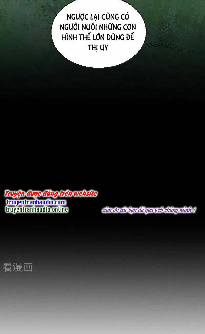 Chương 246 - Trang 12