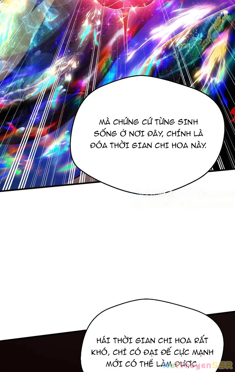Chương 265 - Trang 13