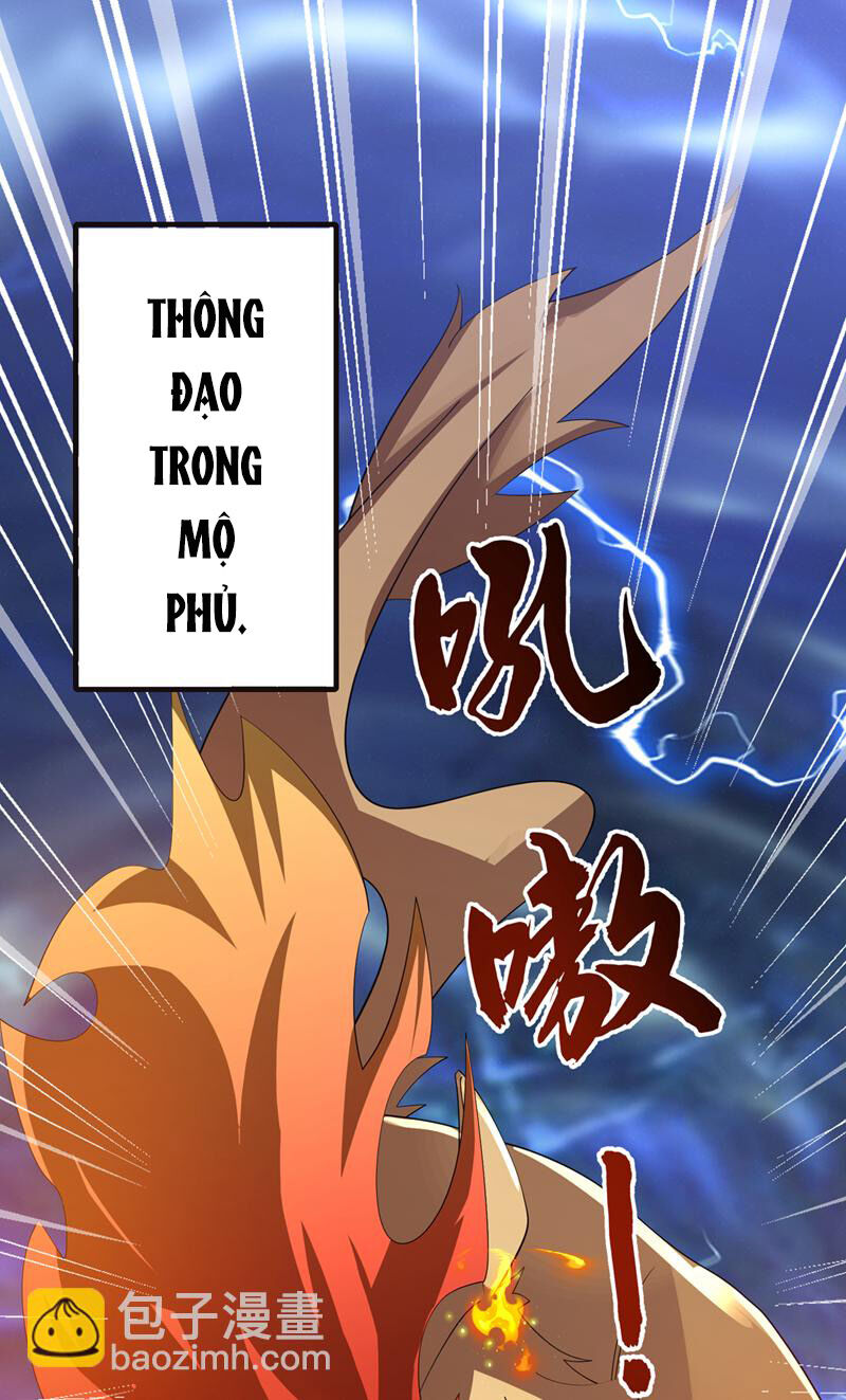Chương 482 - Trang 4