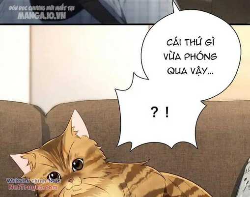 Trang 71