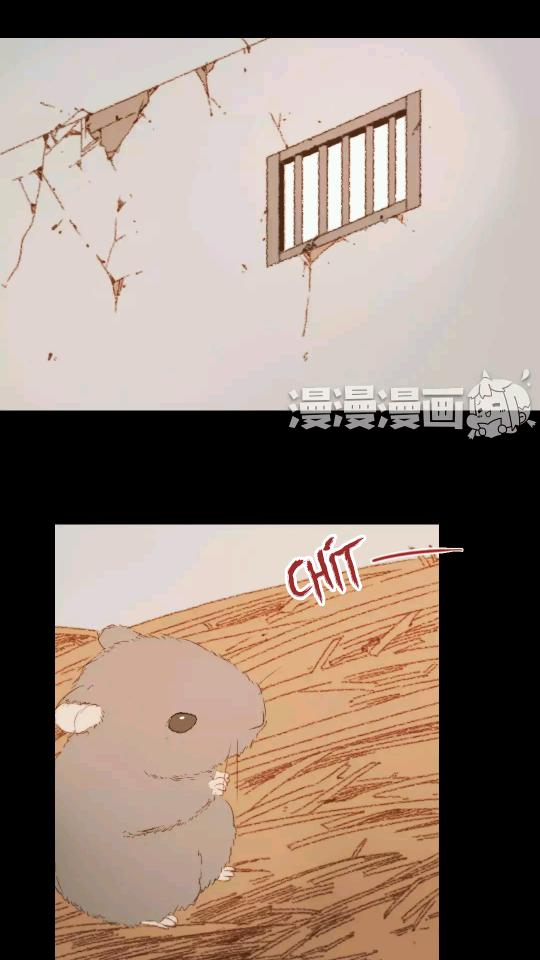 Chapter 61 - Trang 21