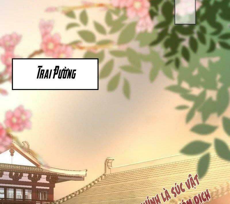 Chương 39 - Trang 32