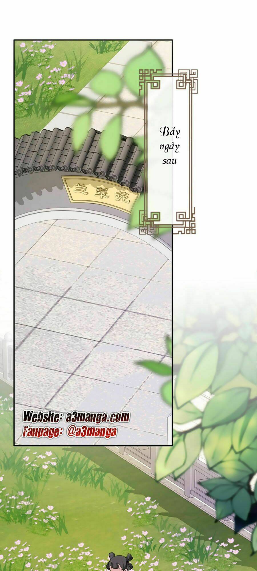 Chương 11 - Trang 1