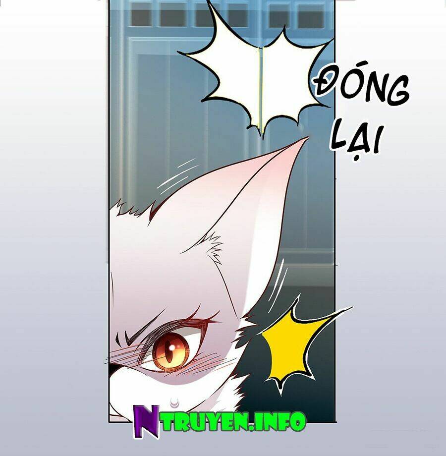 Chương 20.1 - Trang 17