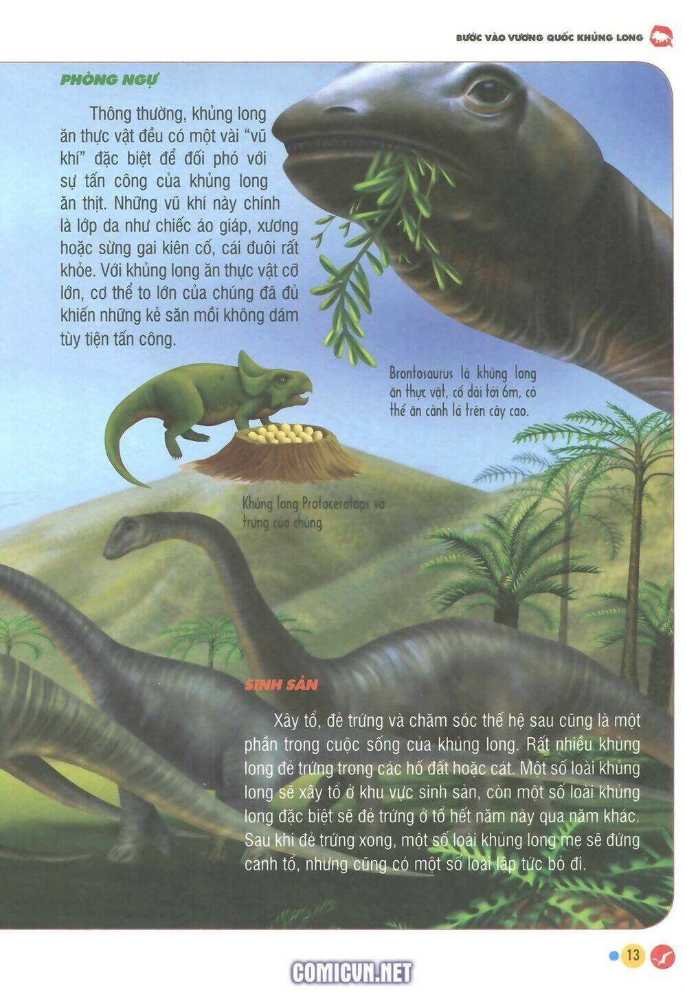 Chương 1 - Trang 9