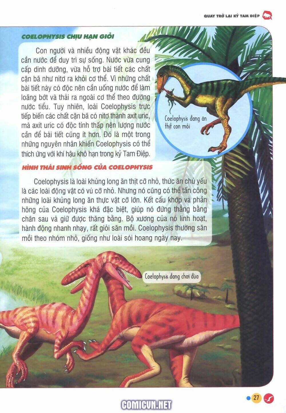 Chương 2 - Trang 7