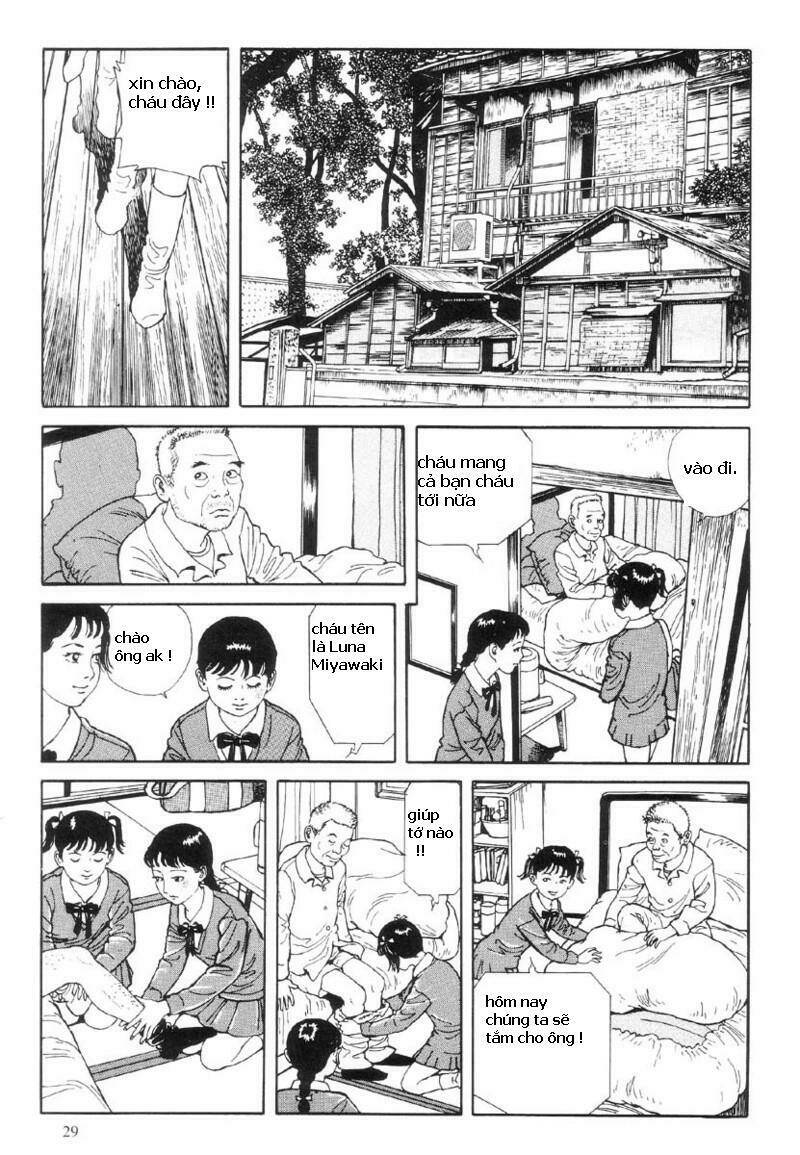 Trang 29