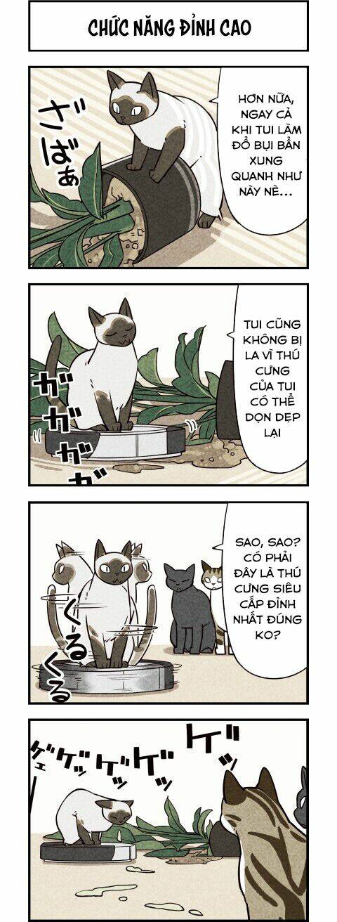 Chương 10 - Trang 5