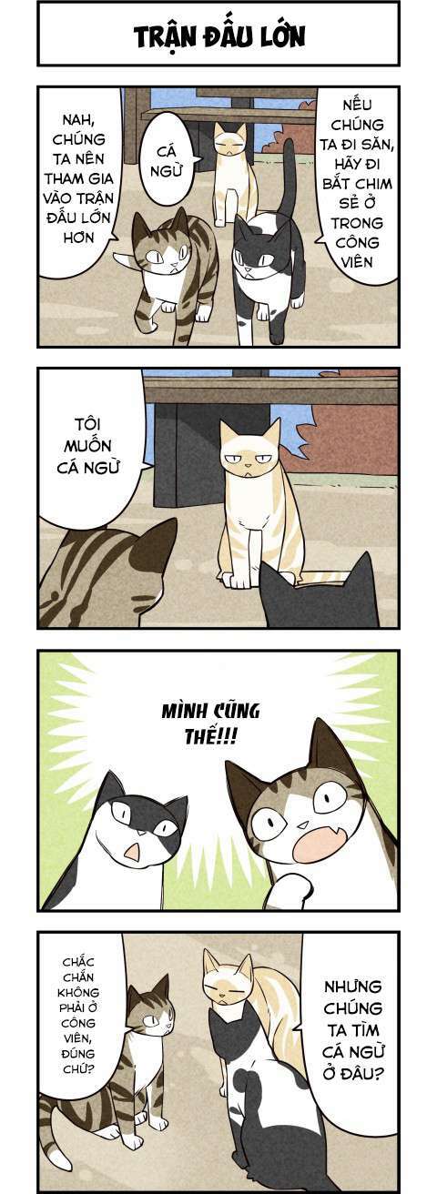 Chương 16 - Trang 6