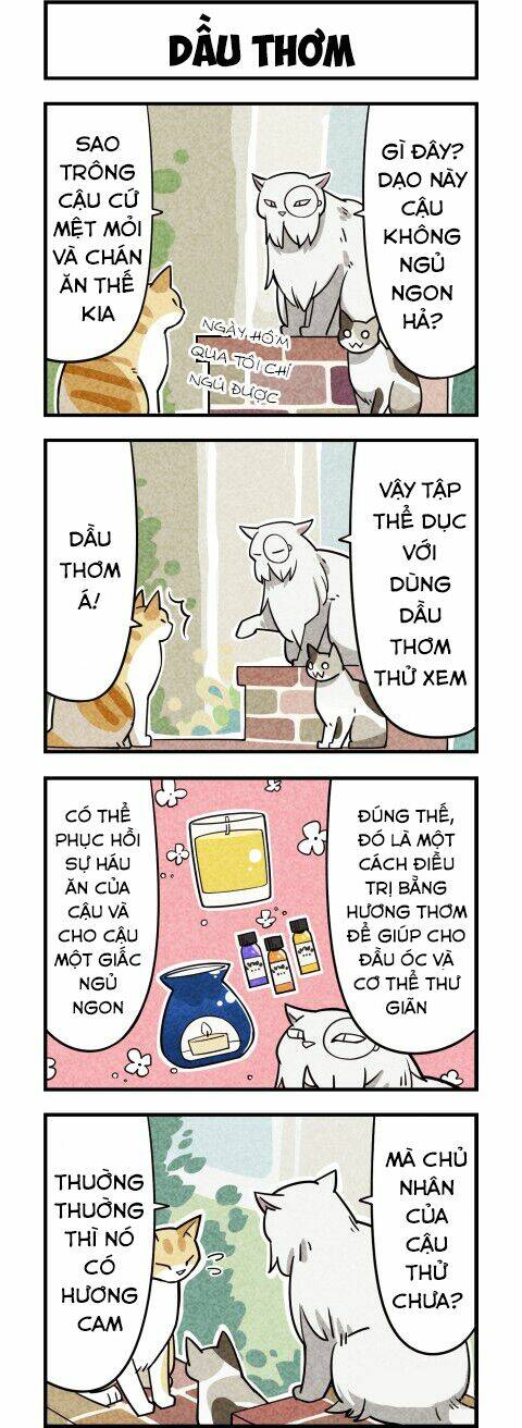 Chương 9 - Trang 4