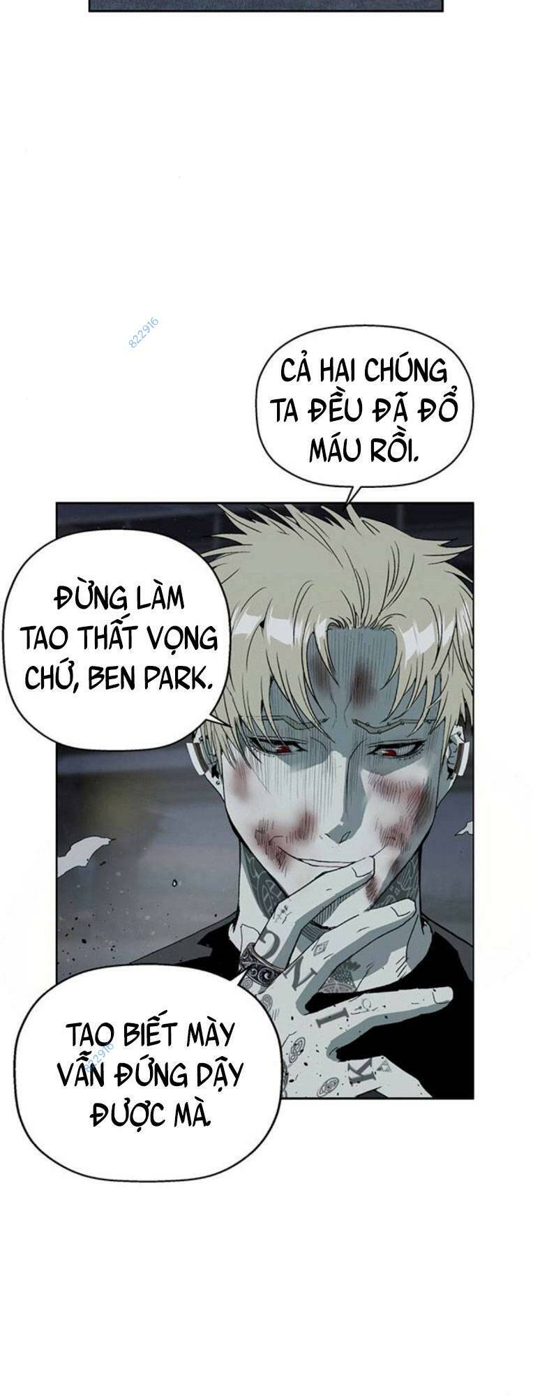 Chương 247 - Trang 15