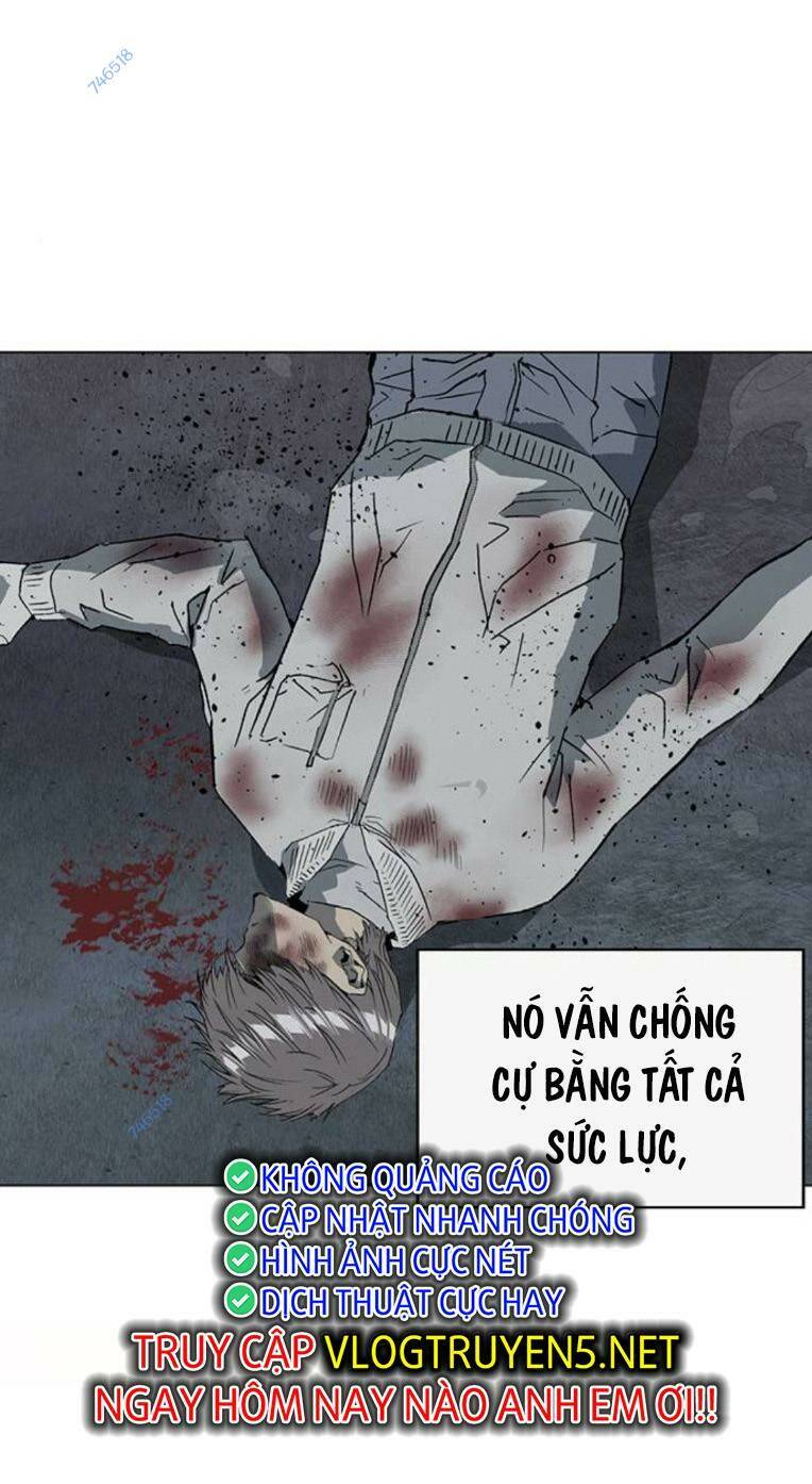 Chương 254 - Trang 106