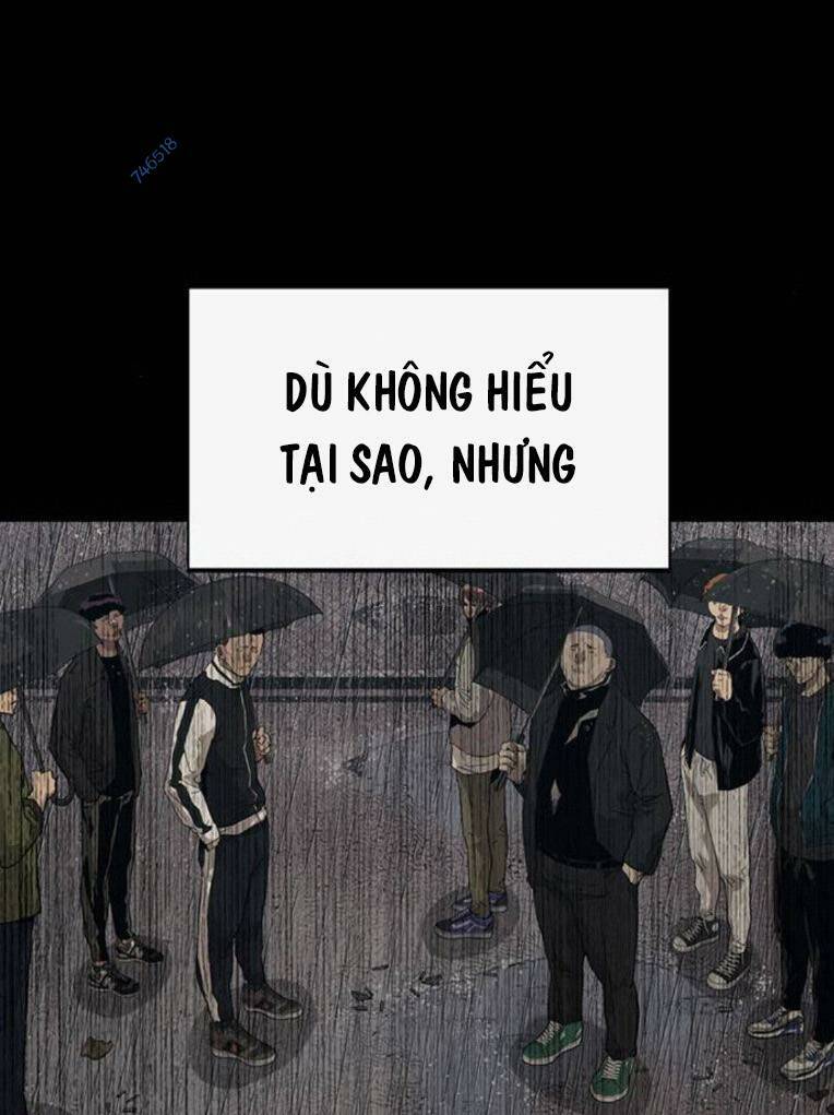 Chương 254 - Trang 113