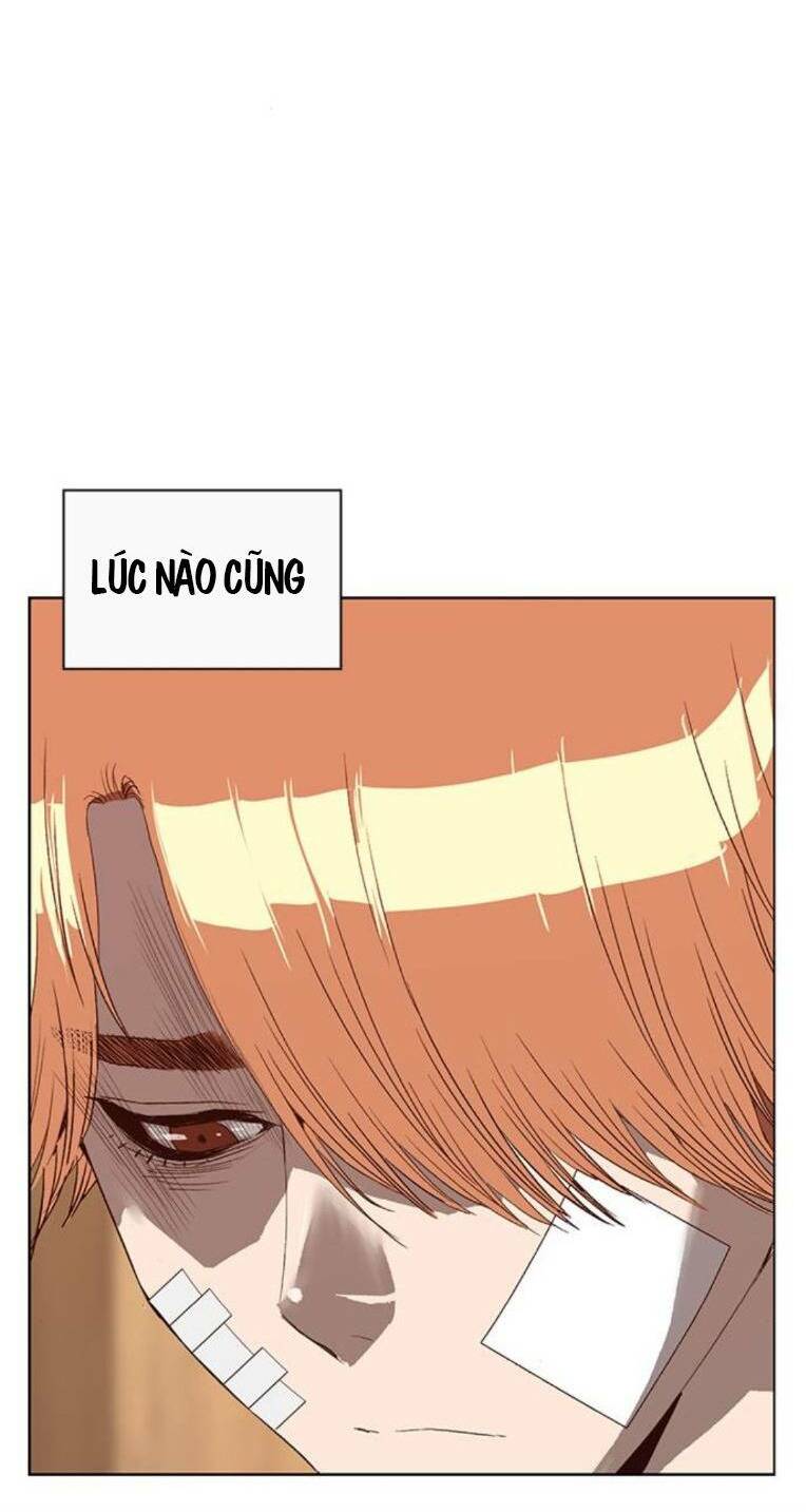 Chương 264 - Trang 34