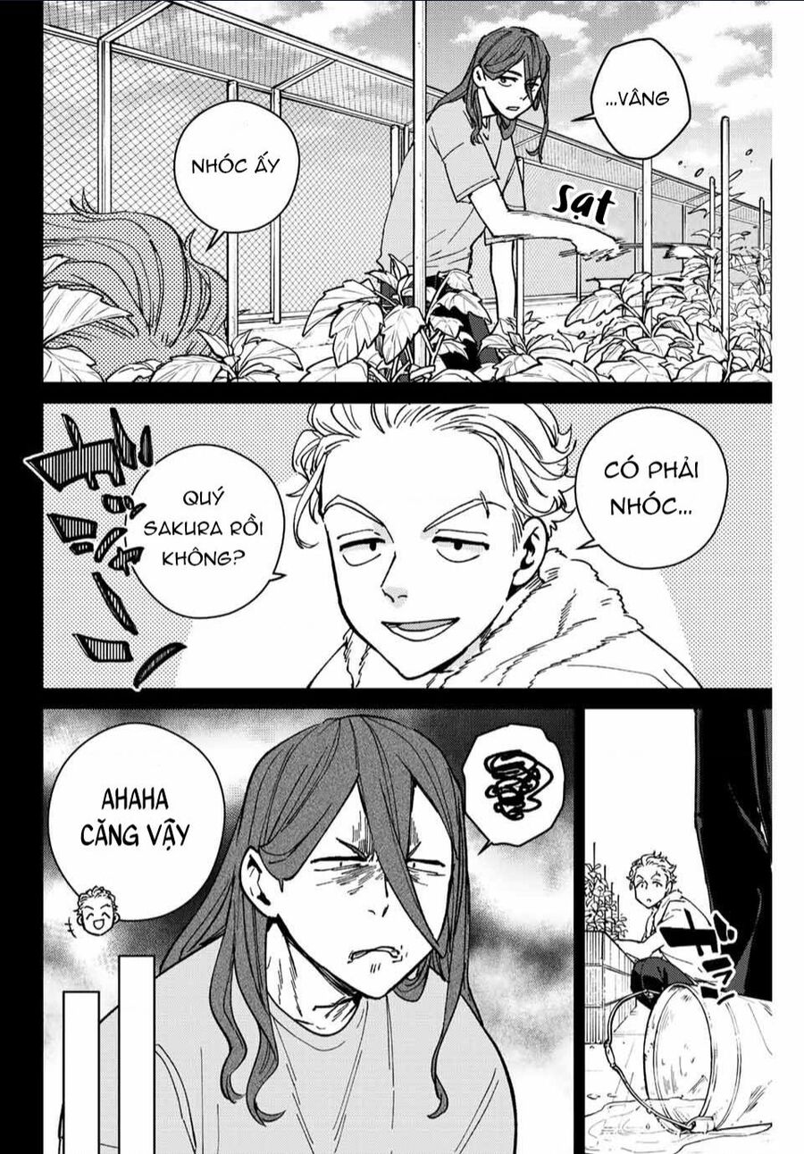 Wind Breaker (Nii Satoru) - Chap 112 - Trang 11