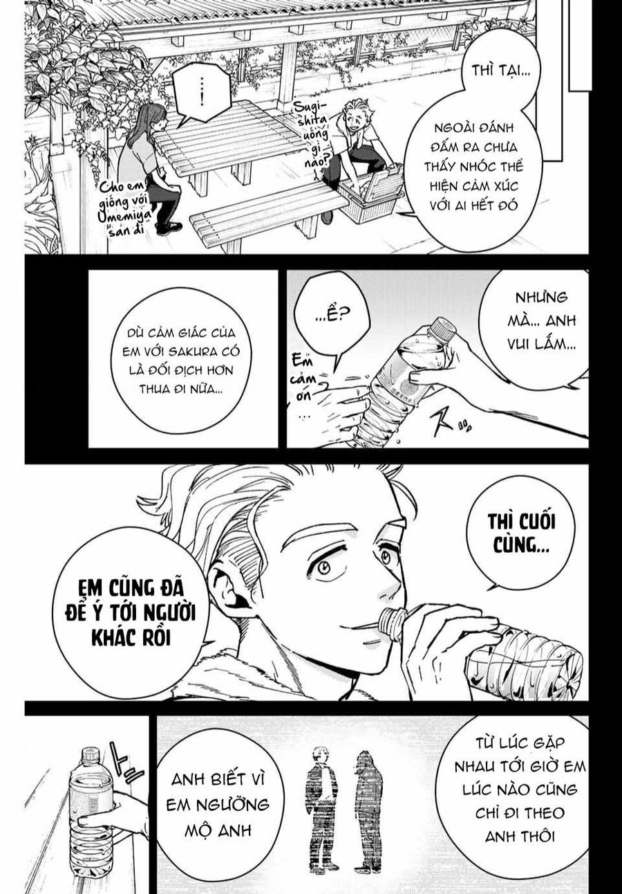 Wind Breaker (Nii Satoru) - Chap 112 - Trang 12