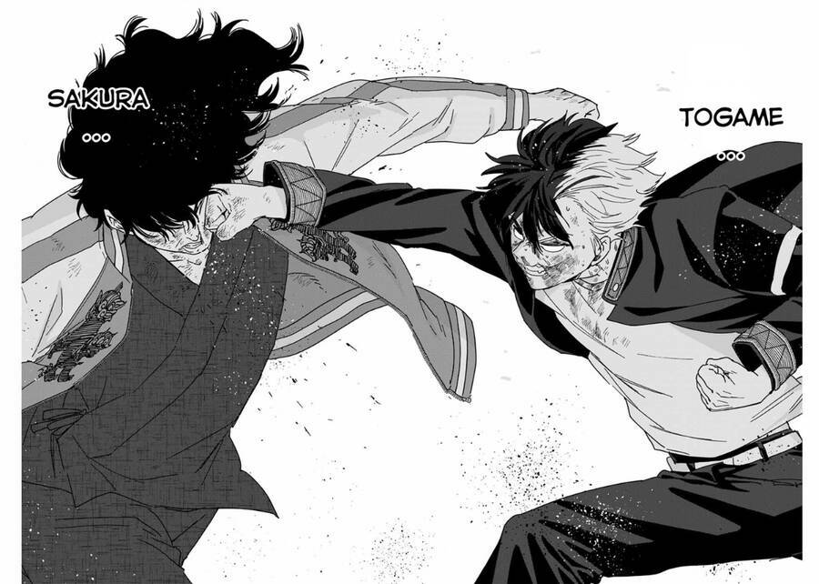 Wind Breaker (Nii Satoru) - Chap 21 - Trang 15