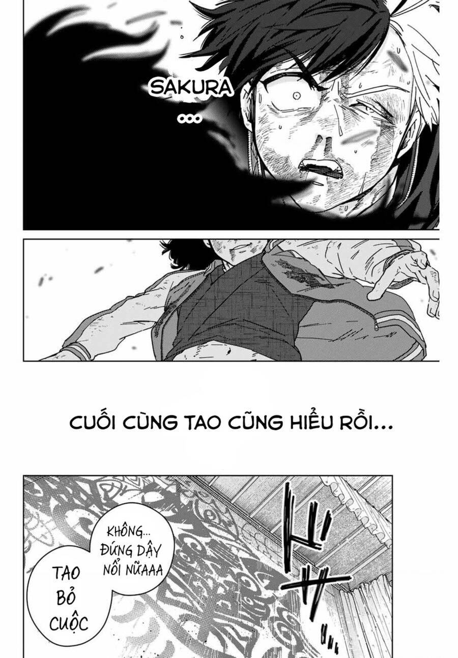 Wind Breaker (Nii Satoru) - Chap 22 - Trang 5