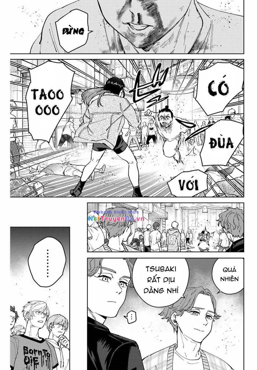 Wind Breaker (Nii Satoru) - Chap 81 - Trang 14