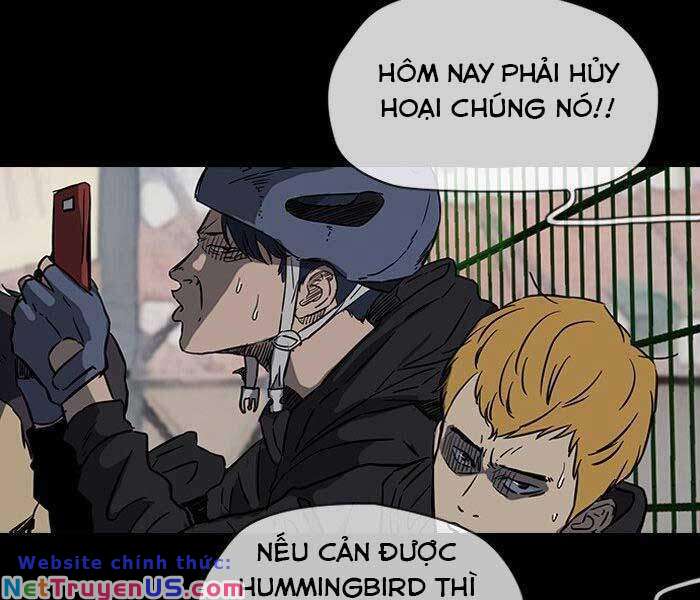 Chương 146 - Trang 41