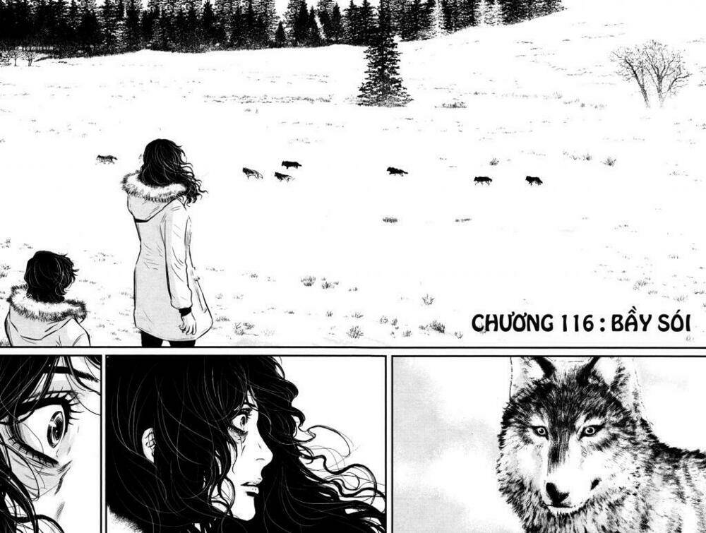 Chương 116 - Trang 3