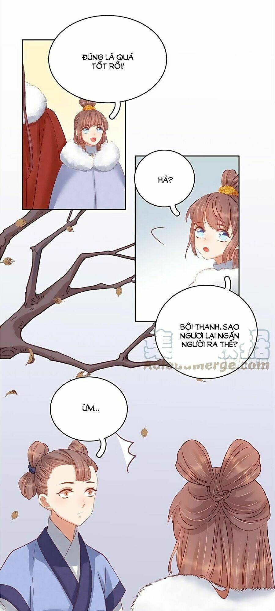 Trang 12