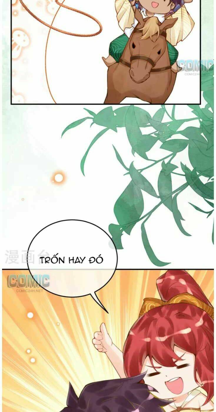 Trang 17