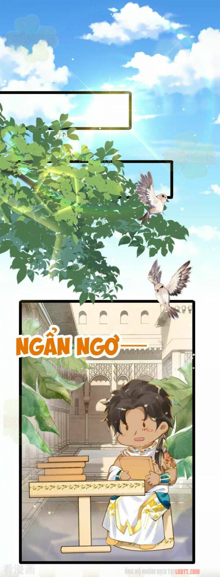 Trang 16