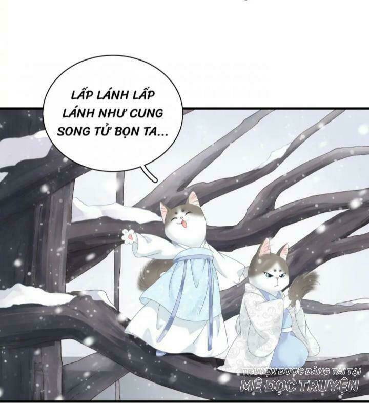 Chương 1 - Trang 6