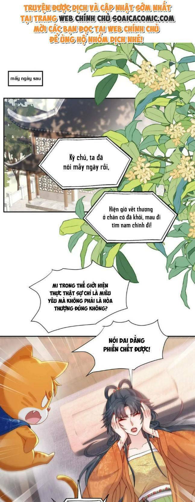 Trang 0