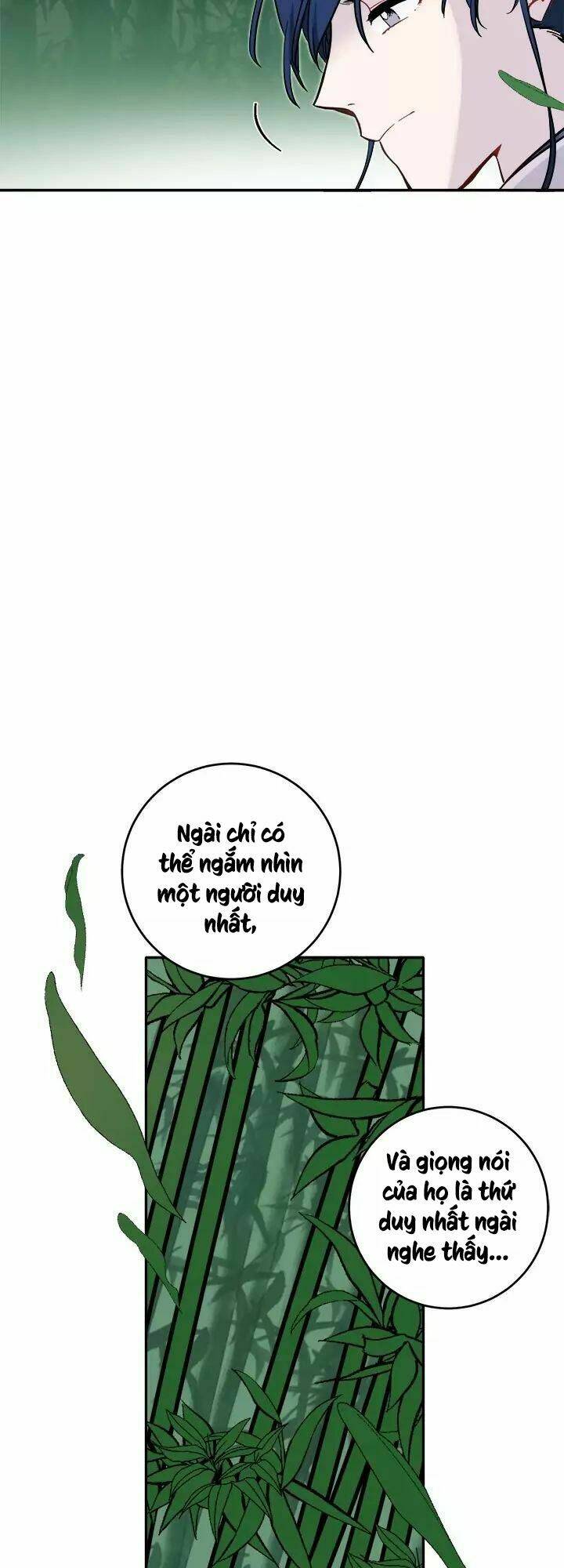 Chương 54 - Trang 48