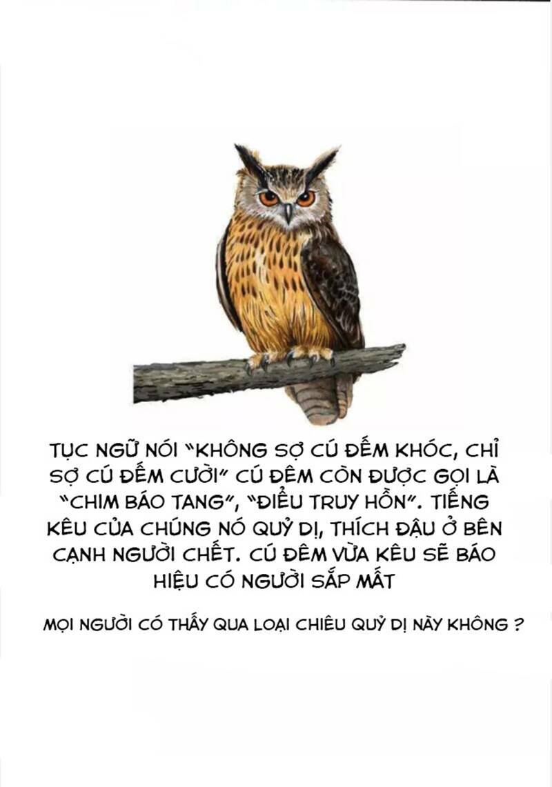 Chương 2 - Trang 26