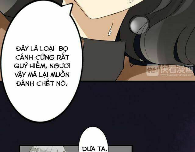 Trang 43