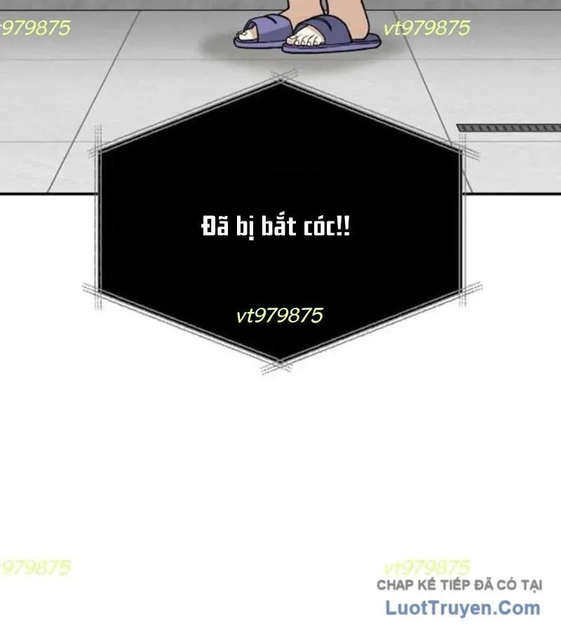 Chapter 16 - Trang 4