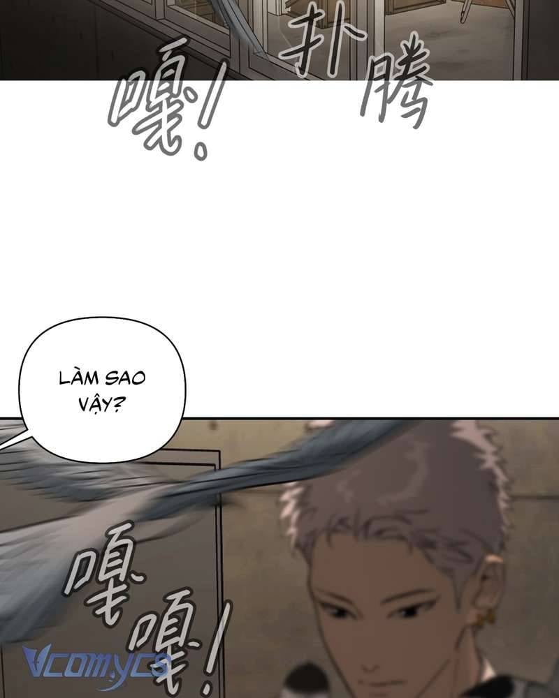 Trang 71