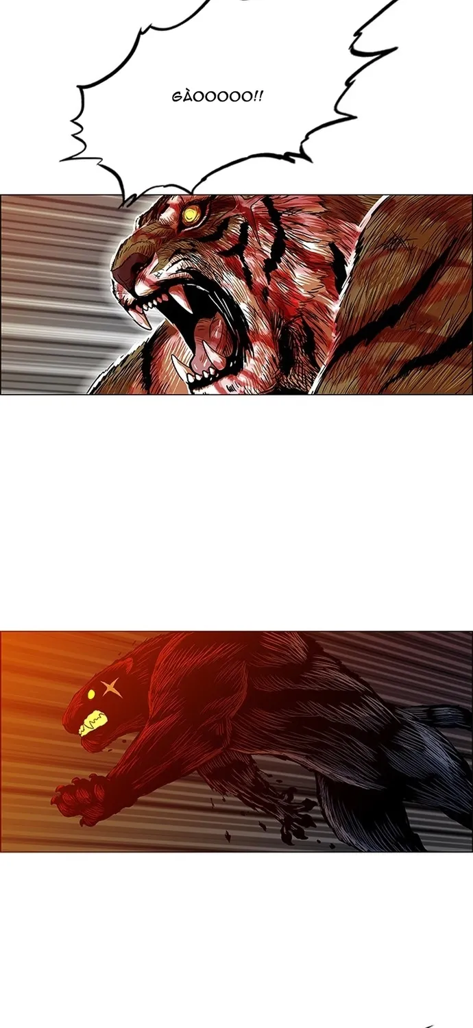 Chapter 141 - Trang 32