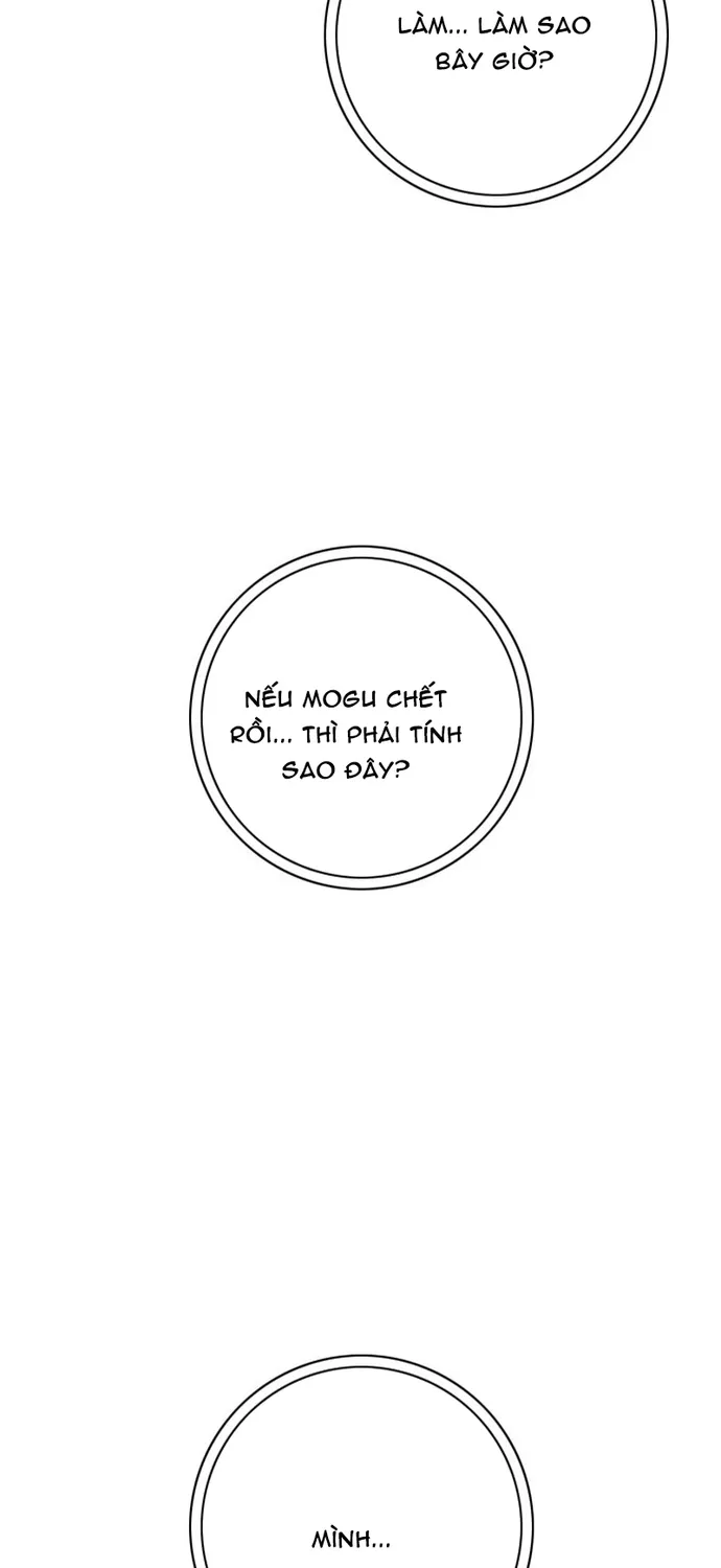 Chương 144 - Trang 39