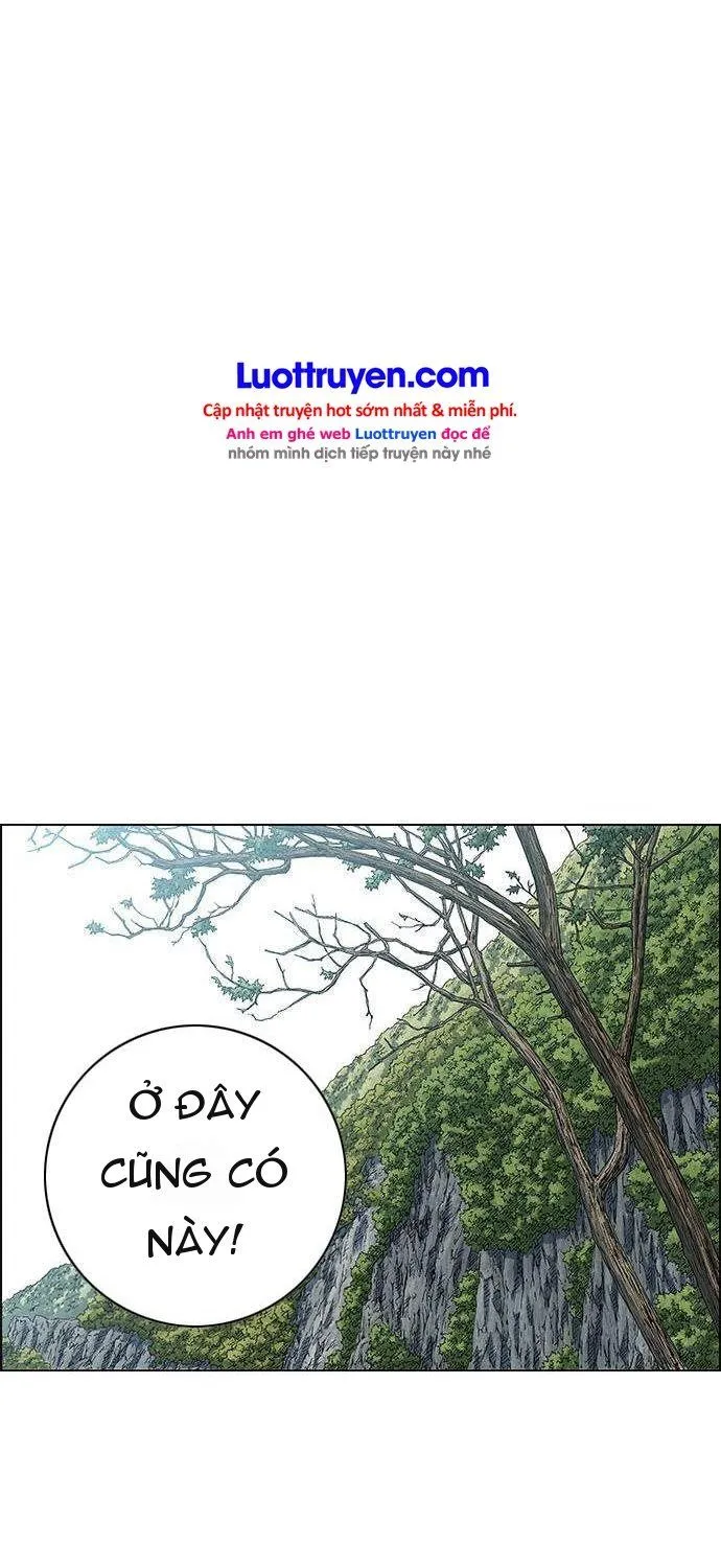 Chương 172 - Trang 27
