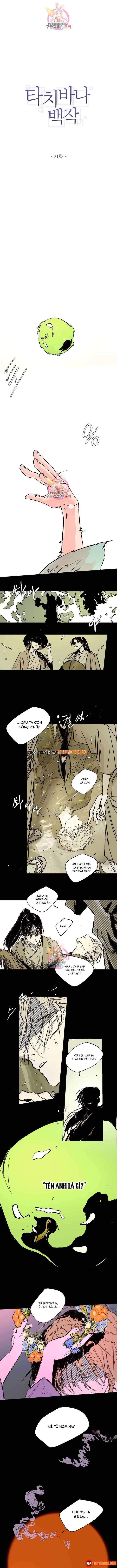 Chương 21 - Trang 2
