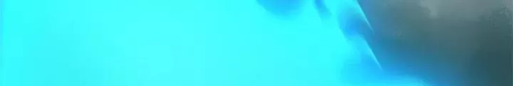 Chương 28 - Trang 28