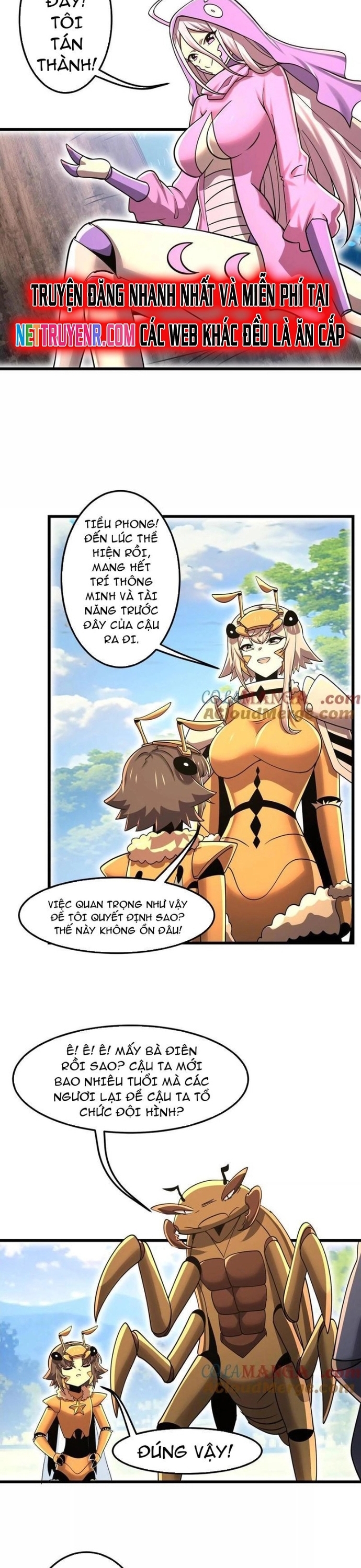 Trang 12