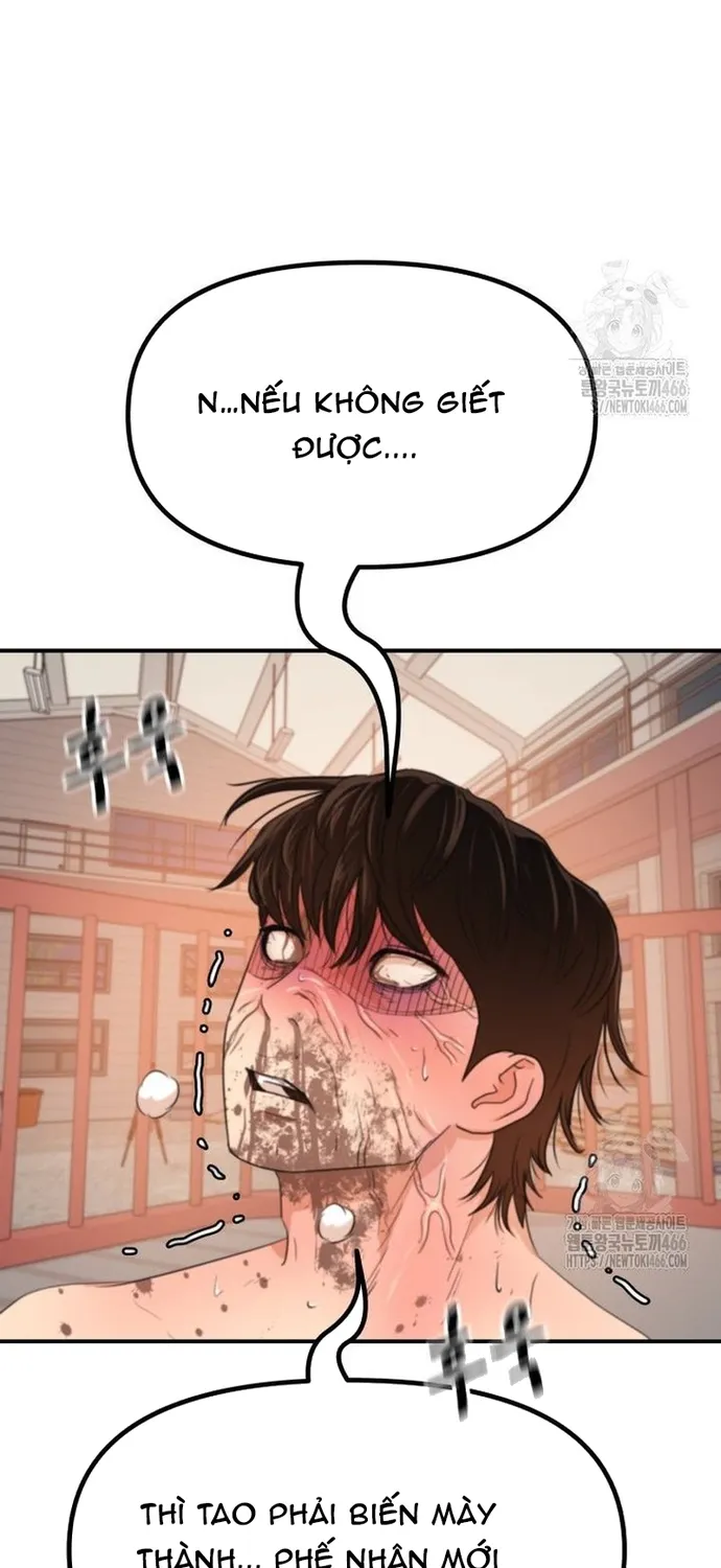 Chapter 167 - Trang 36