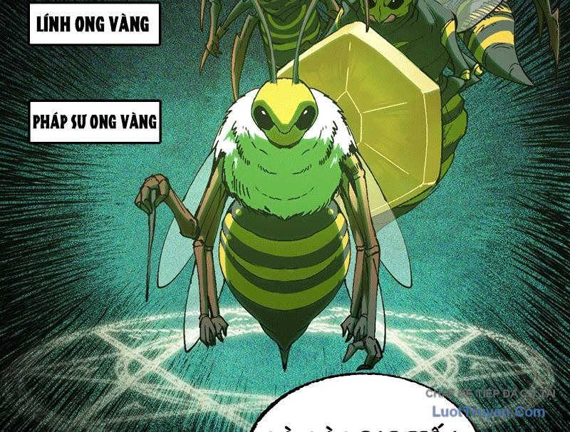 Trang 103